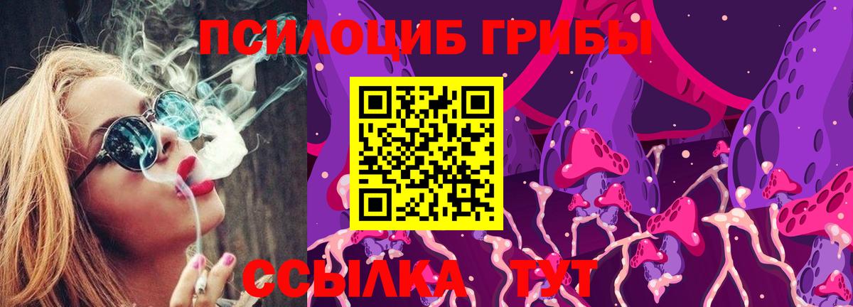 Галлюциногенные грибы прущие грибы  Вход с VPN  Подольск 