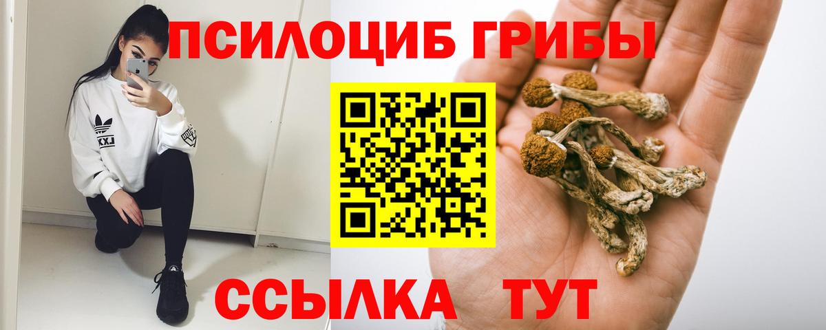 Галлюциногенные грибы мухоморы Подольск